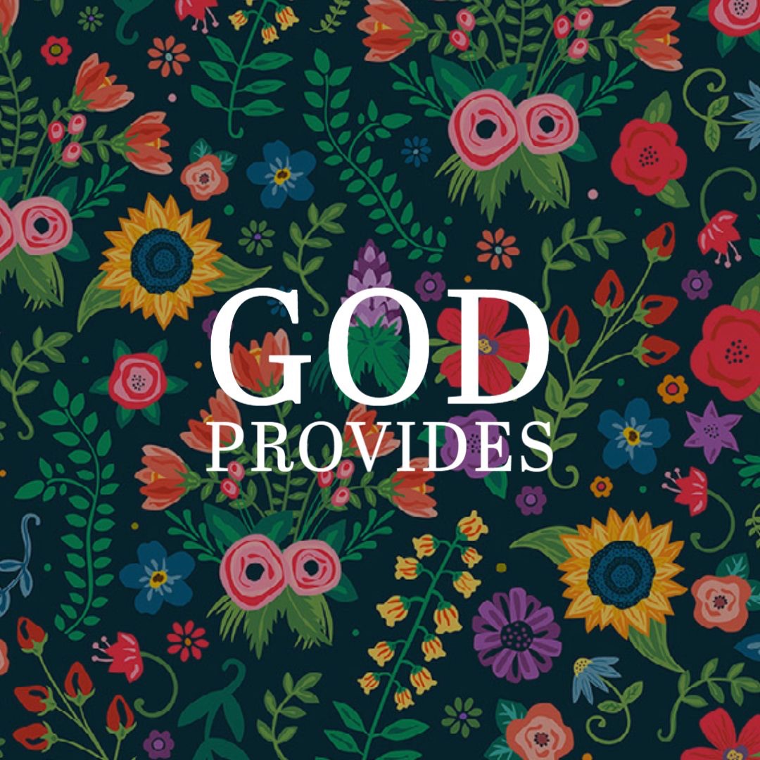 Trust and Providence: Prov 3:5-6
